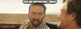 Incredulous Nicolas Cage reaction gif: 'You are supporting... who?'.