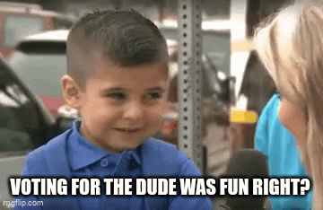 Smirking sarcastic kid reaction gif: 'Voting for the Dude was fun right?'.
