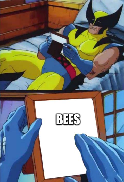 Wolverine happily looking at a photo captioned 'BEES'.