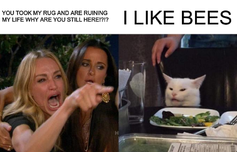 Woman yelling at confused cat meme; the cat says 'I like bees'.