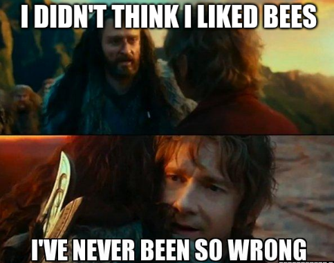 Hobbit Thorin meme: 'I didn't think I liked bees. I've never been so wrong.'