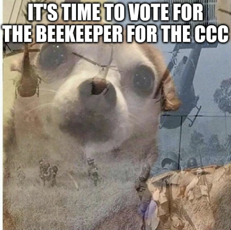 Thousand-yard-stare chihuahua meme: 'It's time to vote for the Beekeeper for the CCC.'